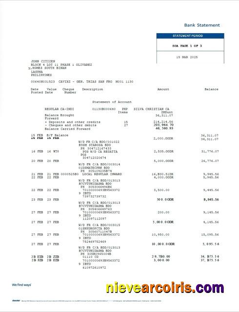 Philippines Bancnet bank statement Word and PDF